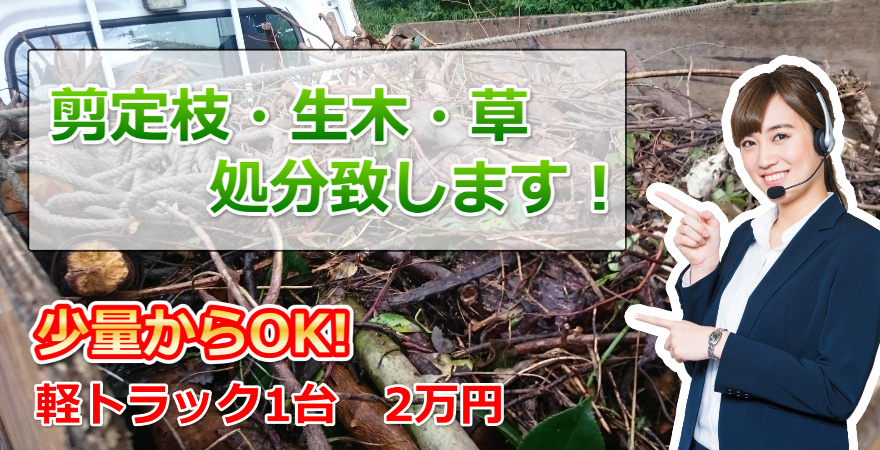 木の枝（種類不明）軽トラック一杯分 剪定枝・生木・草など軽トラック満載で2万円の激安特価