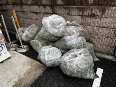 西東京市で草木の処分