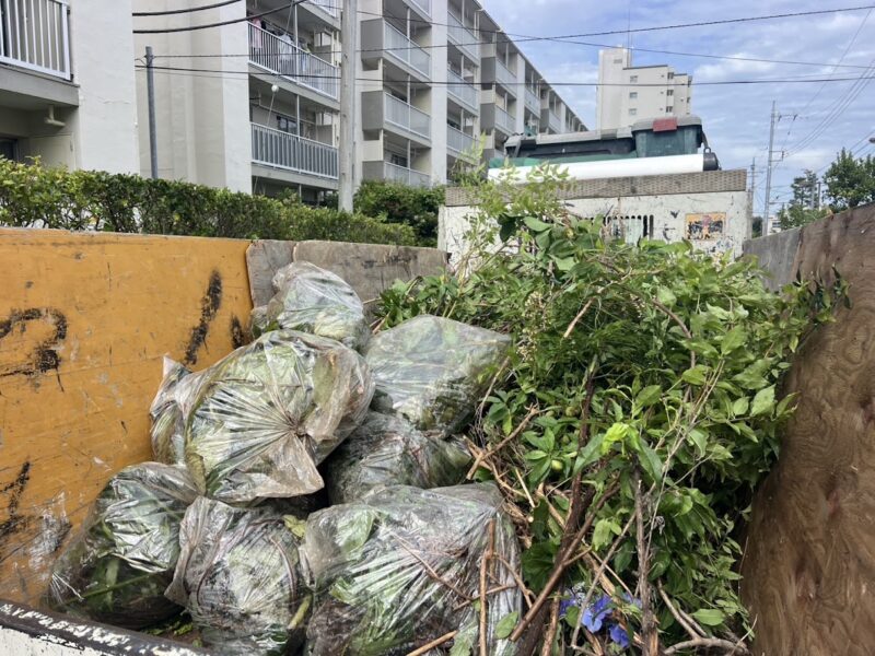 生木を回収後