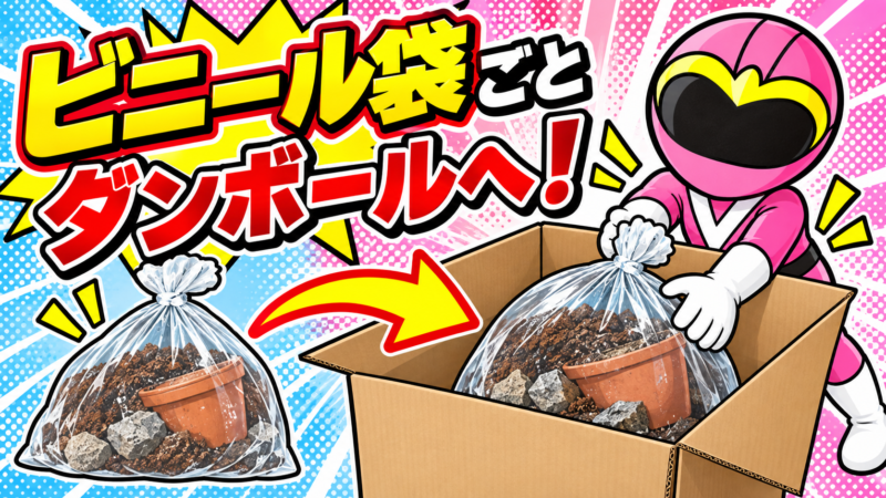 ダンボールに入れる